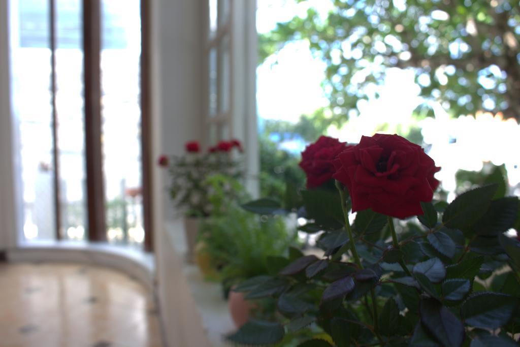 Des Ami Villa Vung Tau Exteriör bild
