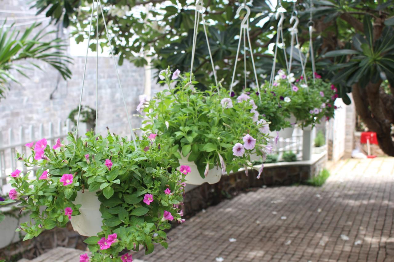 Des Ami Villa Vung Tau Exteriör bild